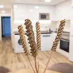Florista By Concept Flats Apartment Valencia